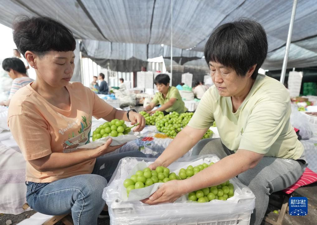 帝豪棋牌万人